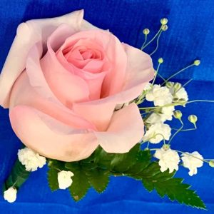 Pink Rose Boutonniere