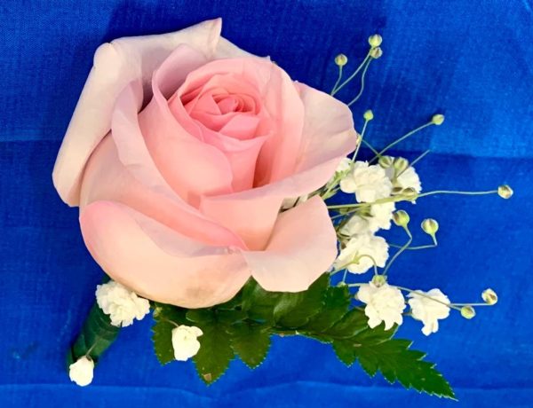 Pink Rose Boutonniere