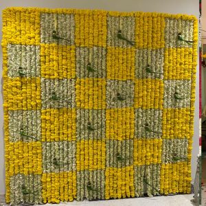 Backdrop Torans 20