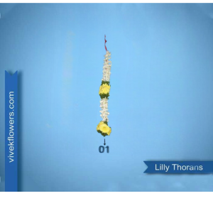 Lilly Toran - Design 01