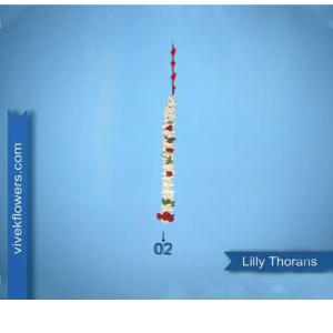 Lilly Toran - Design 02