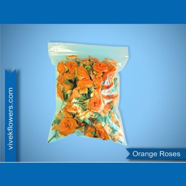 Orange Roses Loose